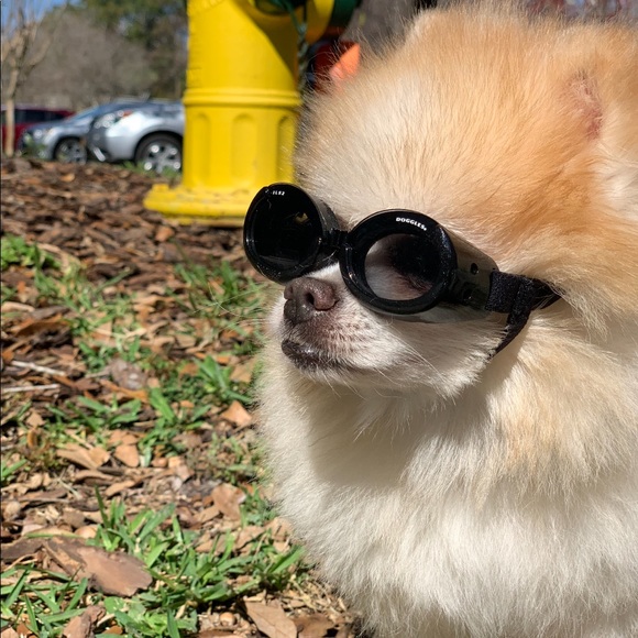 Meet your Posher, Crystal - Picture 1 of 1